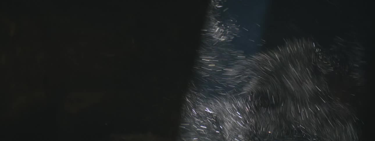 Particles roil through light rays and into darkness