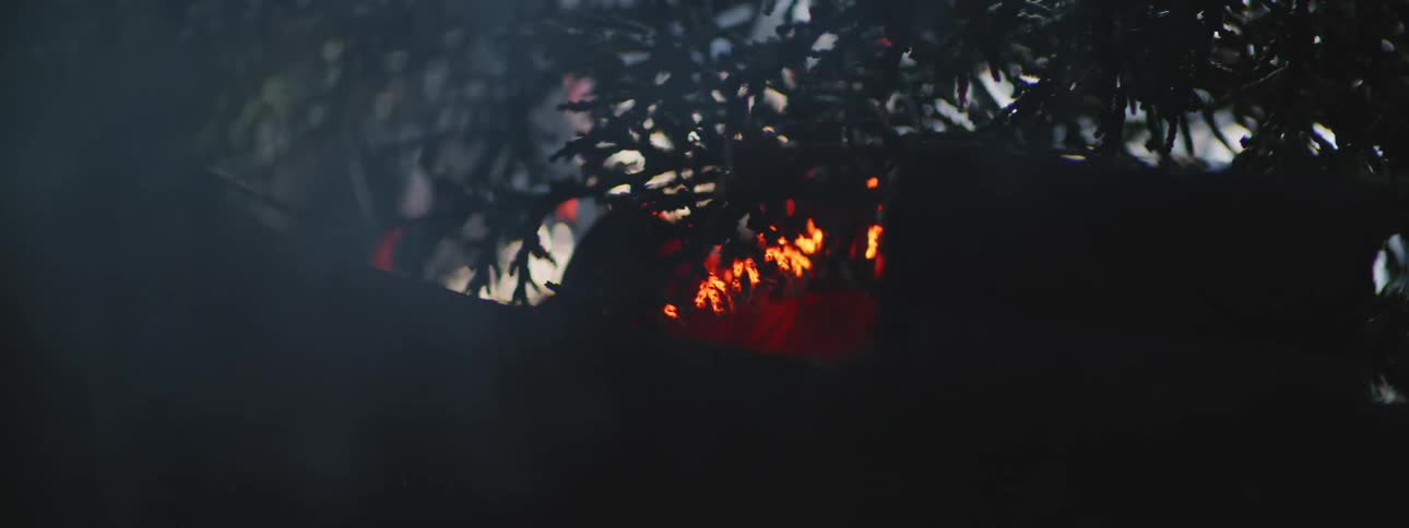 An up close of coals burning underneath plant brush outdoors