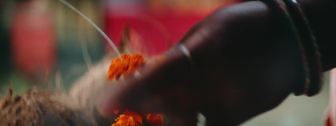 A woman is stringing together several small orange flowers