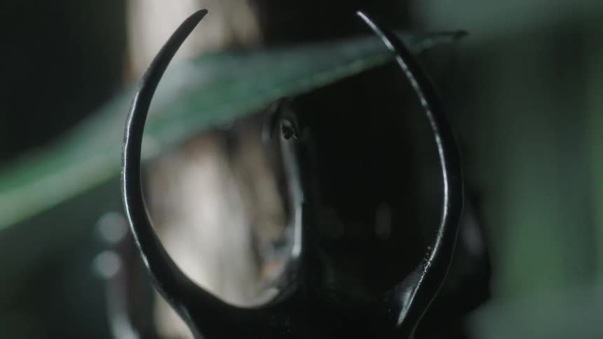 Light shines on a black metal ring