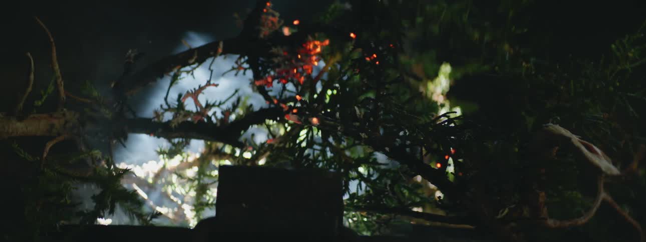 A tree branch burning with coals on it and smoke rolling off it against a night sky