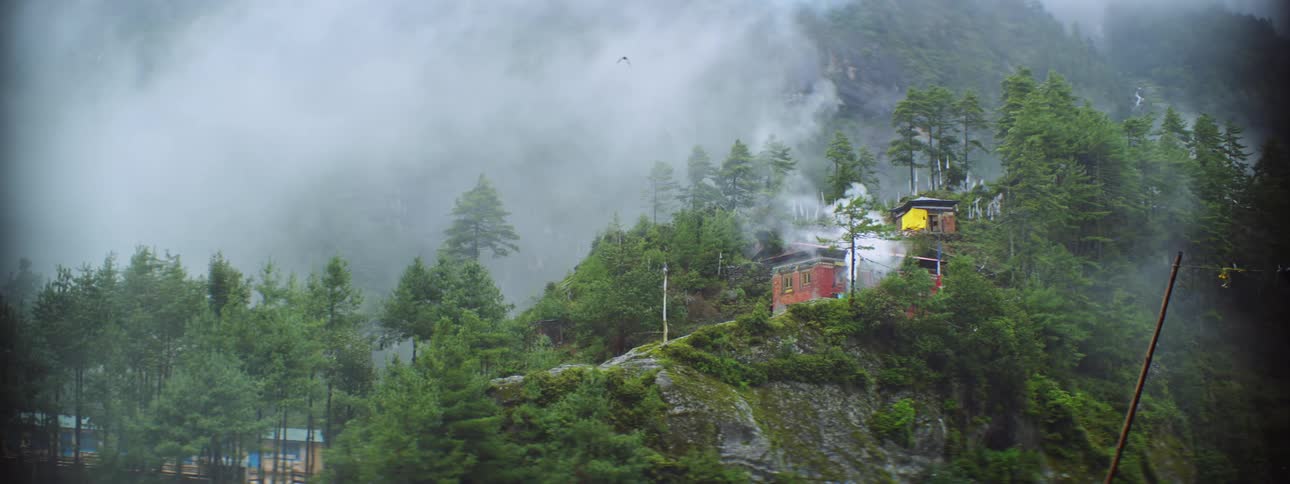 Homes sit along a hill in the woods