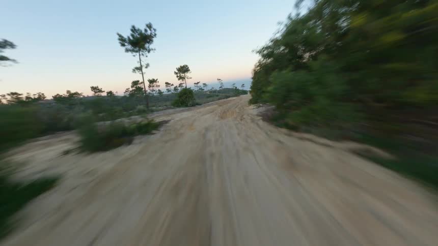Aerial view of dirt road leading to the beach and ocean