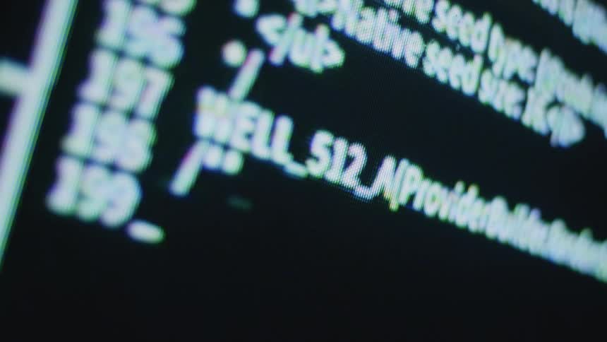 Close up of lines of codes from a computer program running on a screen