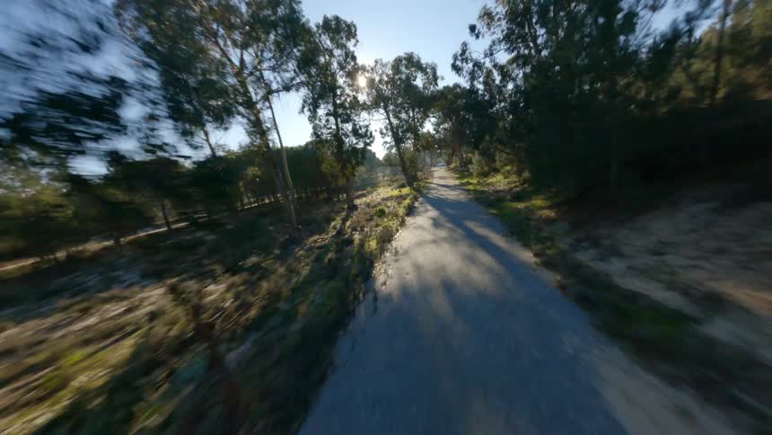 A bus travels on a rural road surrounded by trees as the sun shines brightly in a clear sky