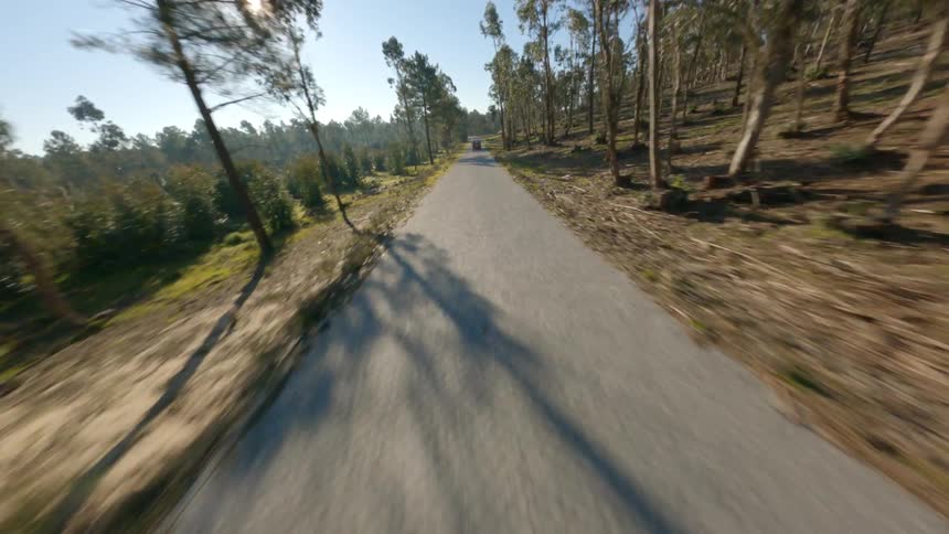 Aerial view of red van driving on country road through forest