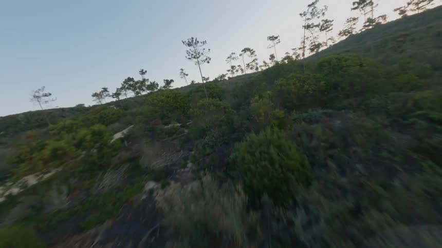 Aerial view of a dirt road through the bushes and thin trees on the plains at evening