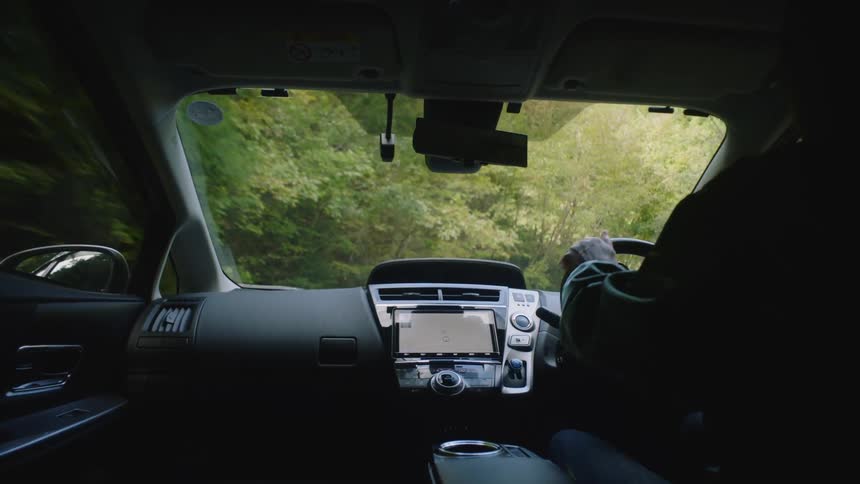 Someone is driving an automobile on a road through the woods and there is a gps navigation system on the dashboard