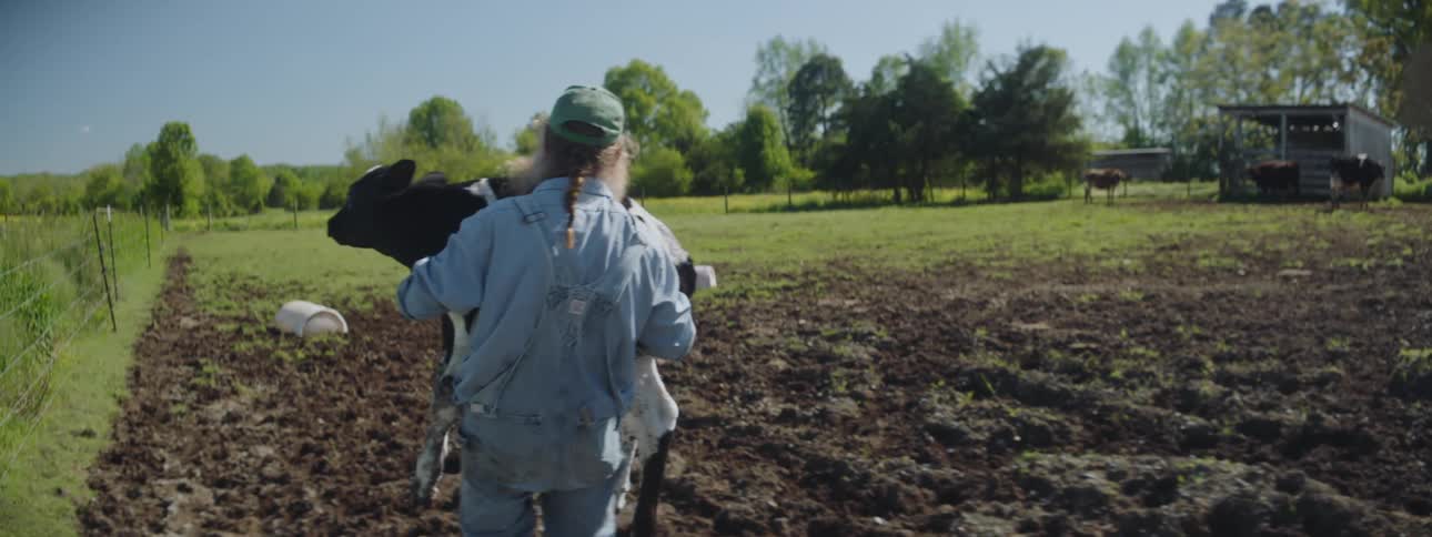 A man carries a baby cow across his farm