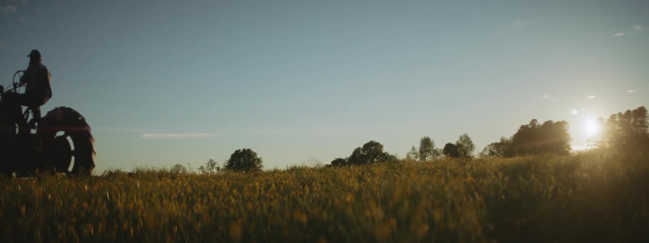 The silhouette of a man on a tractor driving through a field as dogs trail behind him