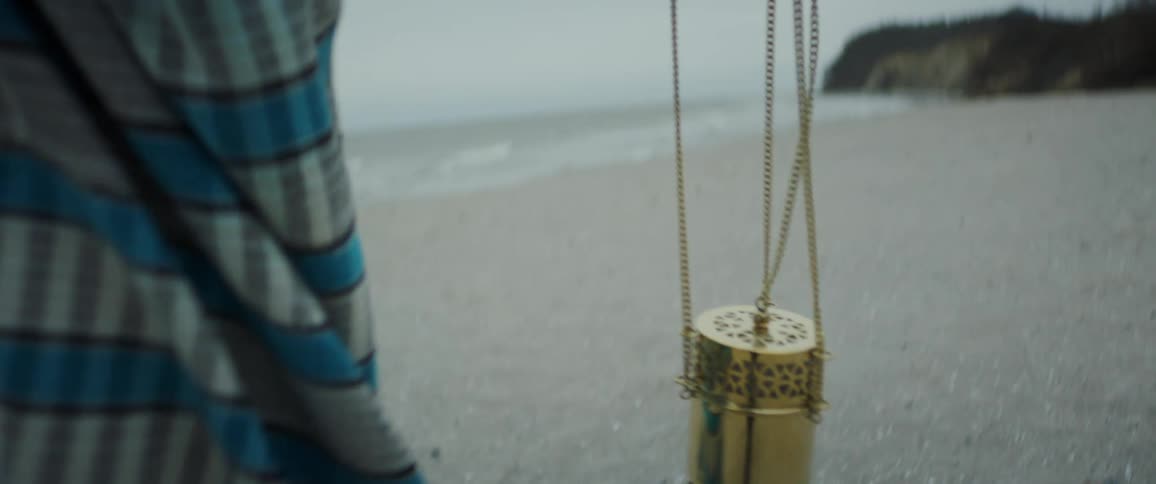 A persons wings an object on the beach