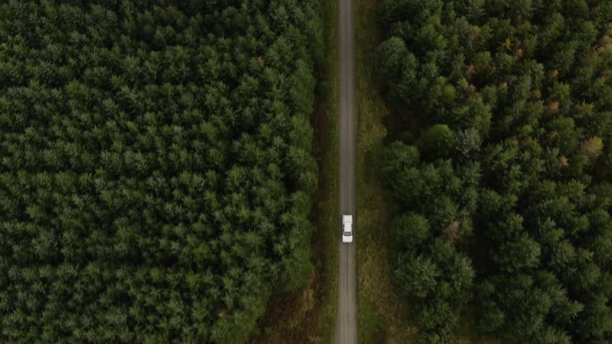 Birds eye view of truck driving on tree lined road in countryside