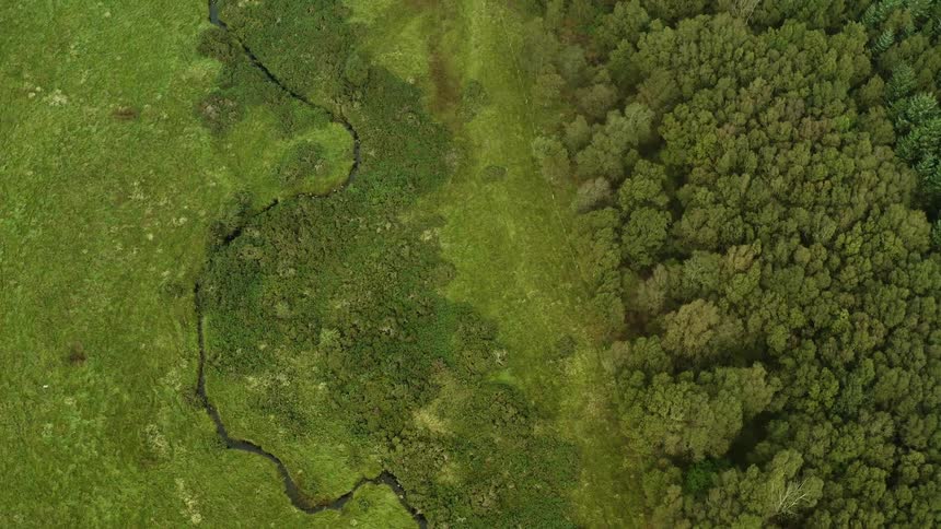 A river takes a few twists and turns as it runs along side a forest