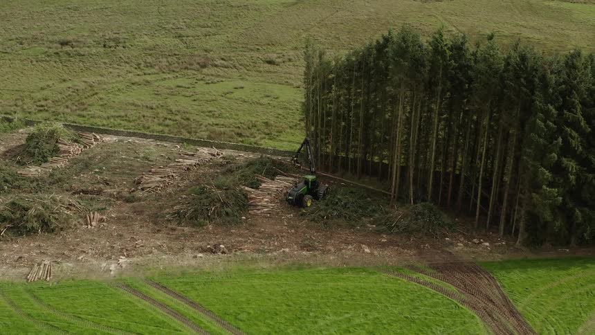 A vehicle is used to remove trees in a field