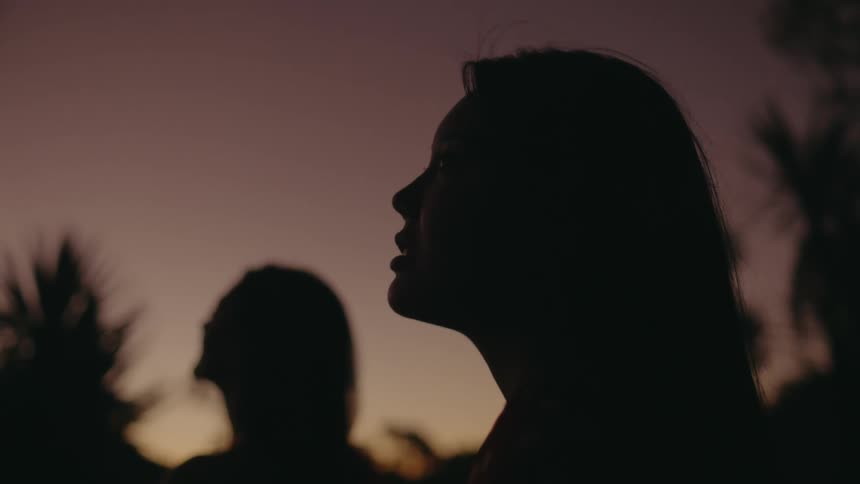 Two silhouettes of womens faces looking ahead against a dusk sky