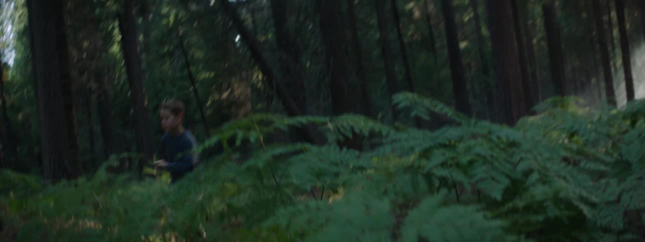Boy with blue sweater and gray pants runs in the green woods