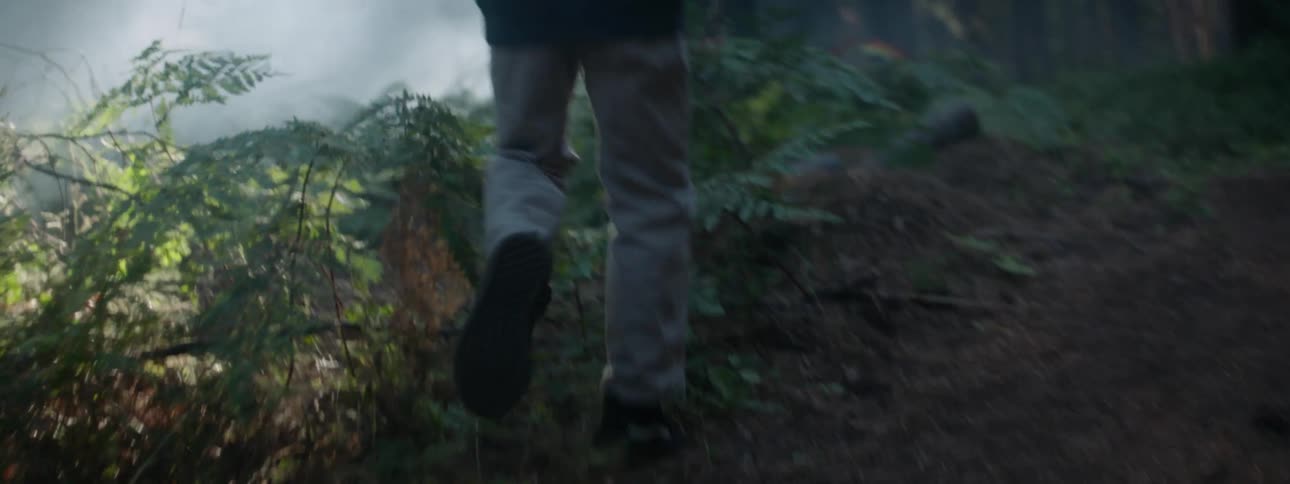 A child running through the forest as fog settles over the ground and sun shines through