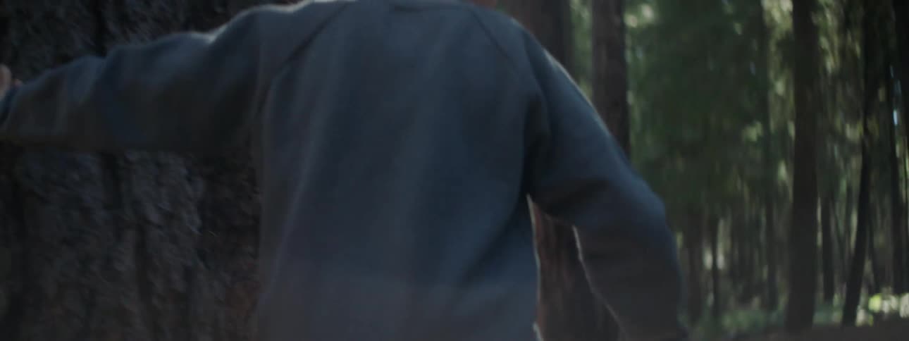 A little boy is playing in the forest as he walks around a large tree