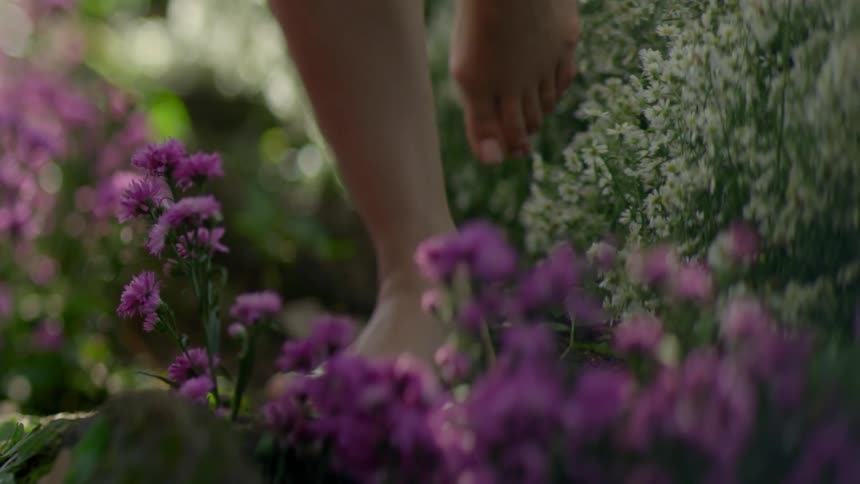A persons feet walking barefoot through white and purple flowers