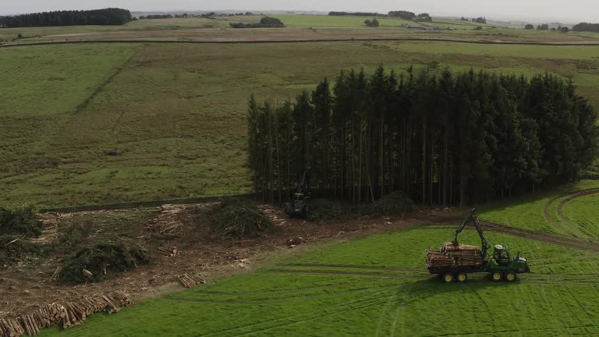 Aerial view of a truck moving logs from the logging area in the fields