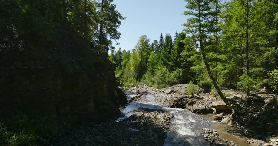 Fast moving creek flowing through mountains in the forest