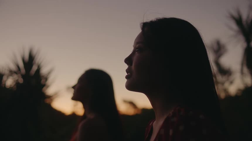 The silhouette of two women sitting outdoors and dusk