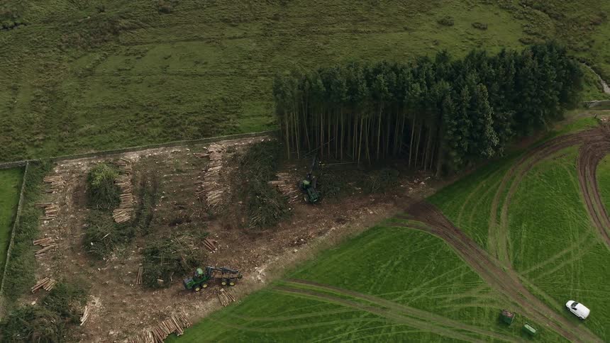A truck knocks down trees from a patch of land on a farm field