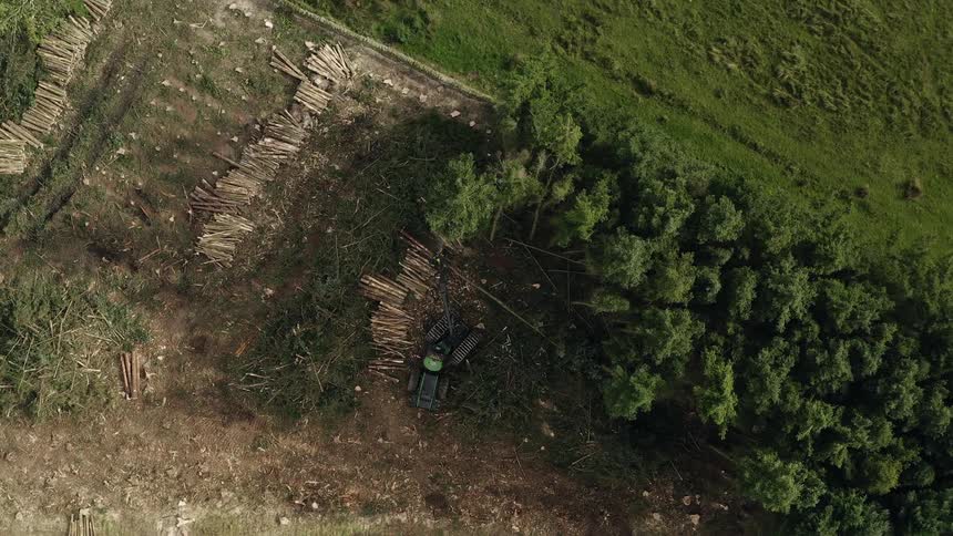 An aerial view looking straight down at machinery clearing trees out of a forest