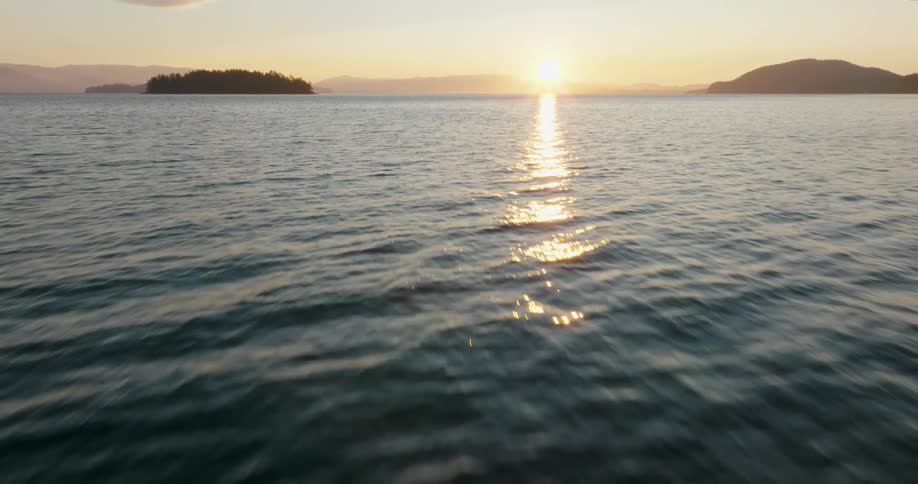 Skimming low over open ocean as the low hanging sun paints the water with glints of light