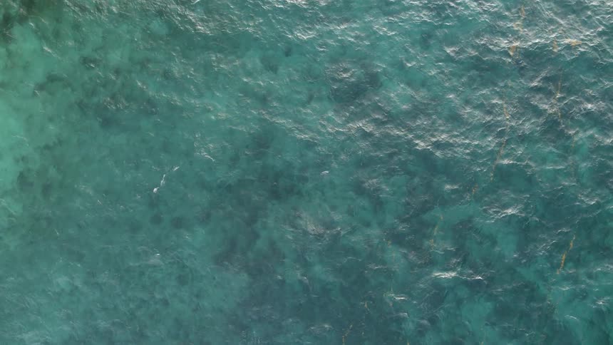 Soft sunlight shimmers from the surface of shallow aquamarine water allowing glimpses of seafloor below