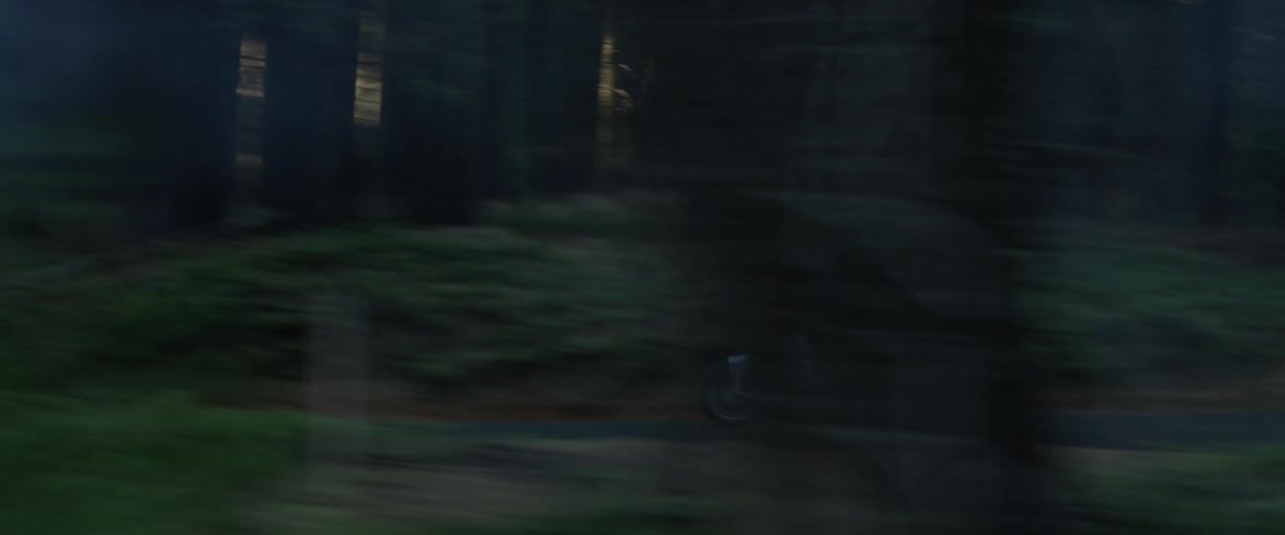 A person is riding their motorcycle through a wooded area