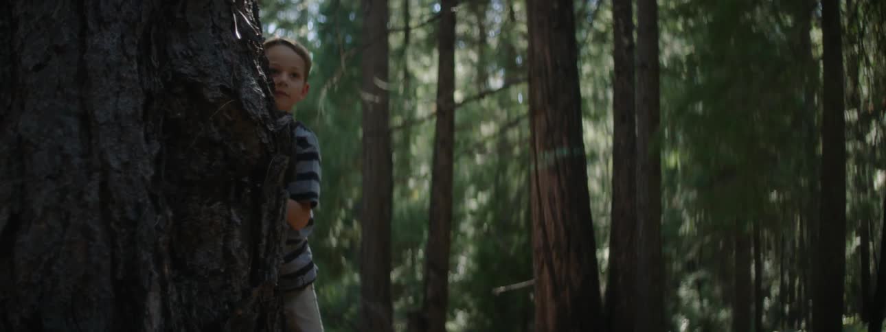 A boy is walking through the forest as he peeks around a tree