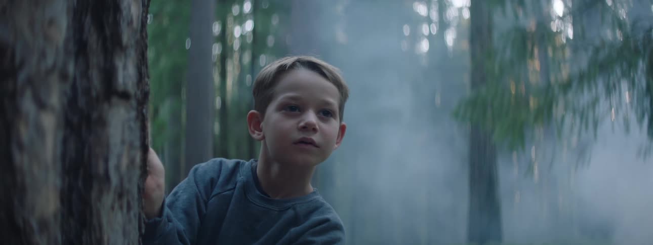 Boy with blue sweater peeks out from behind tree trunk in the woods