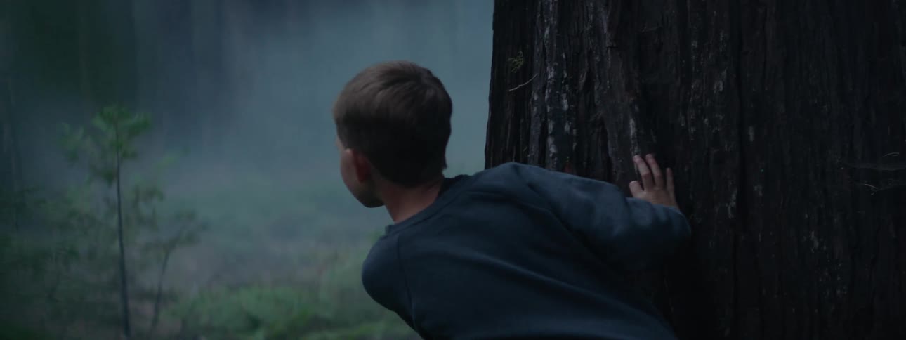 Boy with blue sweater looks out from behind tree trunk in the woods