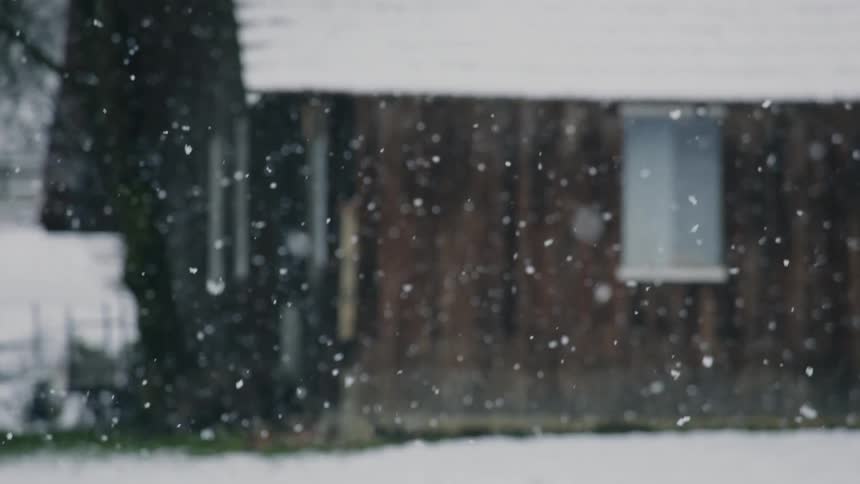 Snowflakes gently falling on the ground and creating a beautiful winter landscape