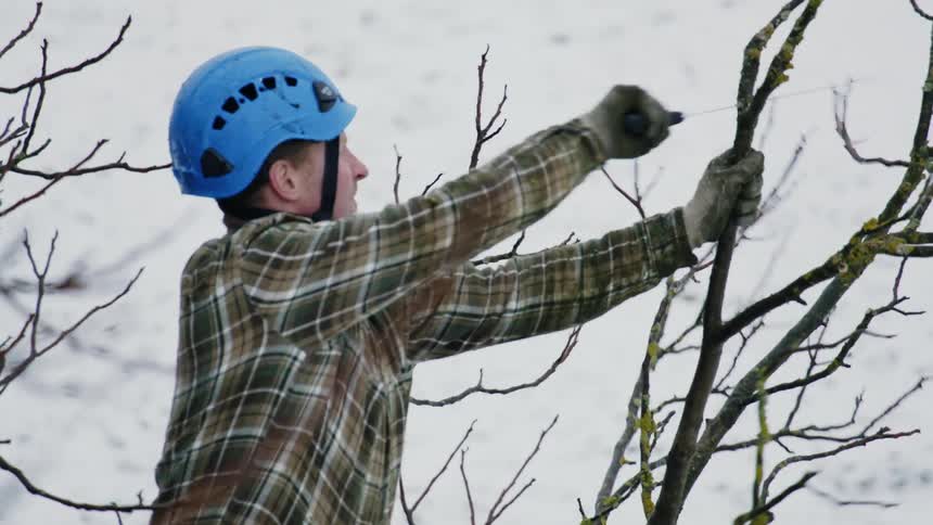 A man is cutting a tree branch during the winter time