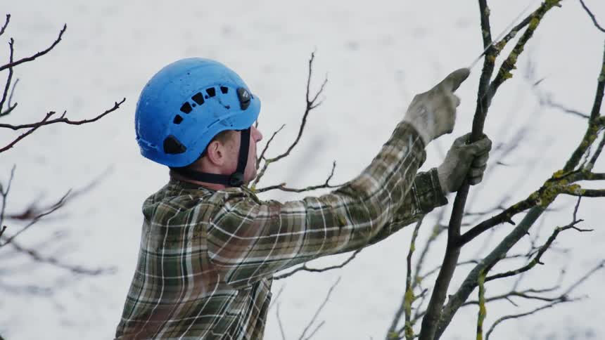 Man in Blue Helmet Using Hand Saw on Snowy Ground