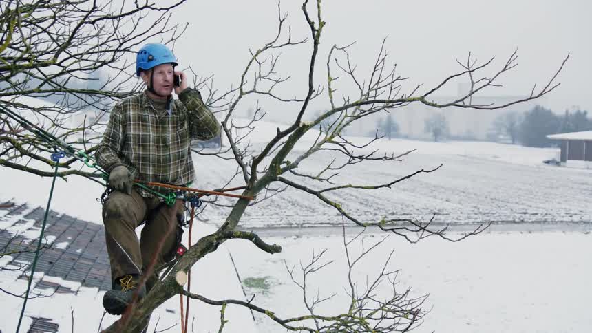 Man answering the phone while doing tree work in the snowy winter