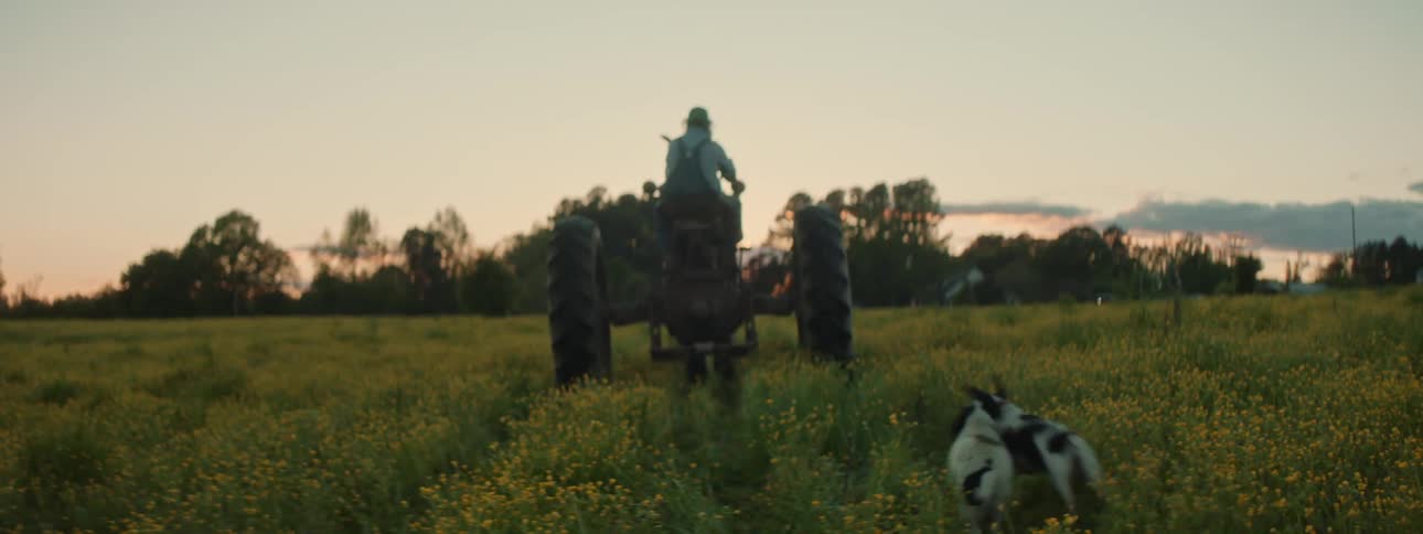 Farmer driving tractor across field as dogs happily follow at sunrise