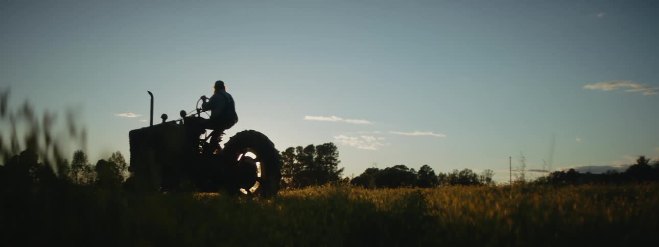 A freshly cut green grass field stretches out to tree line where a setting sun is shinning through under a clear blue sky as an oversized male farmer in overalls rides by on an older style tractor