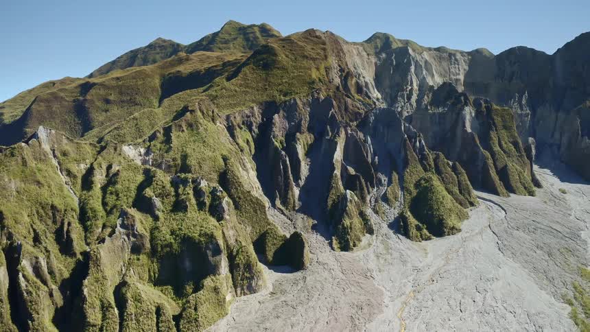 The mountain is covered with algae