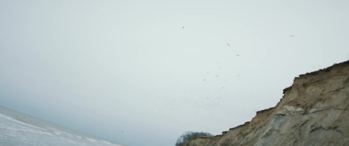 Birds flying over a cliff on the coast next to the ocean at daytime