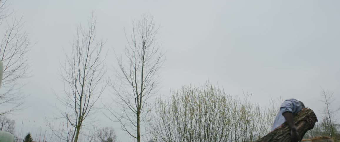 A man is dragging a large log near trees and he falls to the ground