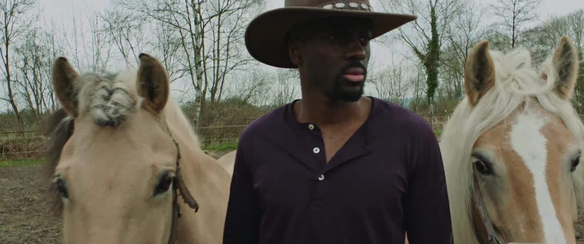 A man in a cowboy hat stands in a field and stares into the distance while holding two horses