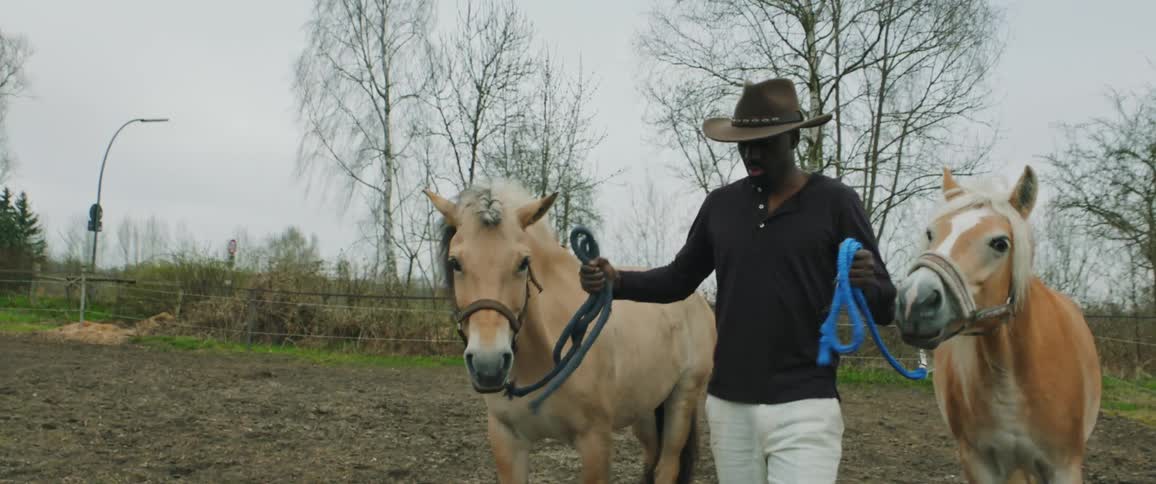 Man leads two horses trough pasture by ropes attached to their halters