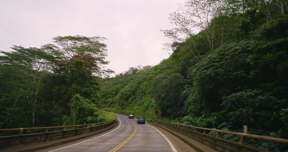 Cars traveling on a rural road with dense tree forests on either side of the road