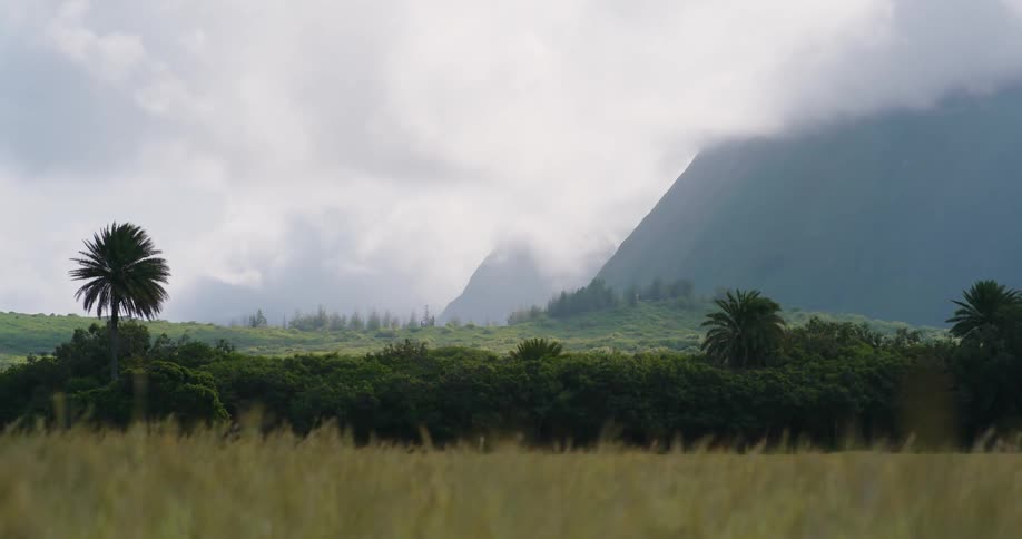Fog is covering the landscape during midday