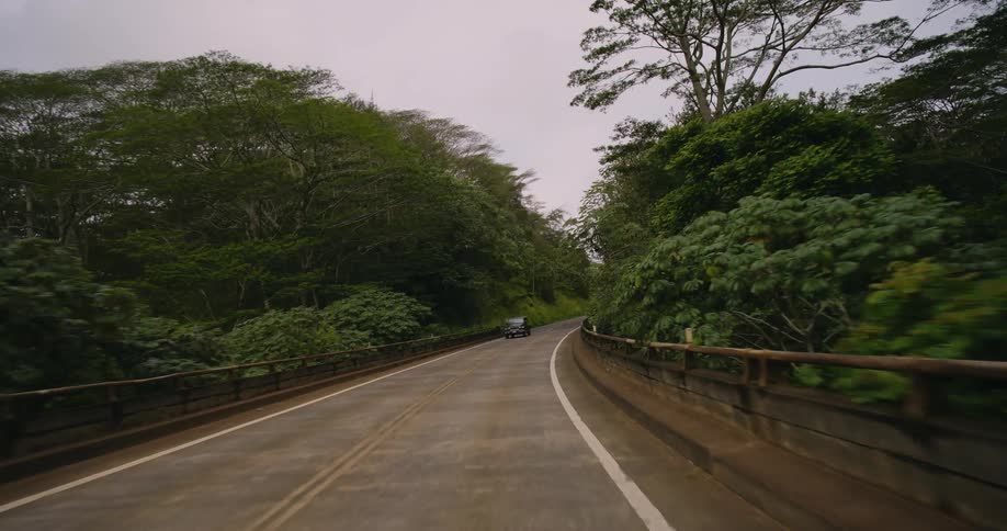A car is driving on a road during the spring time