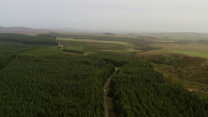 An aerial view of a large dense forest with a road traveling through it and a car driving on the road