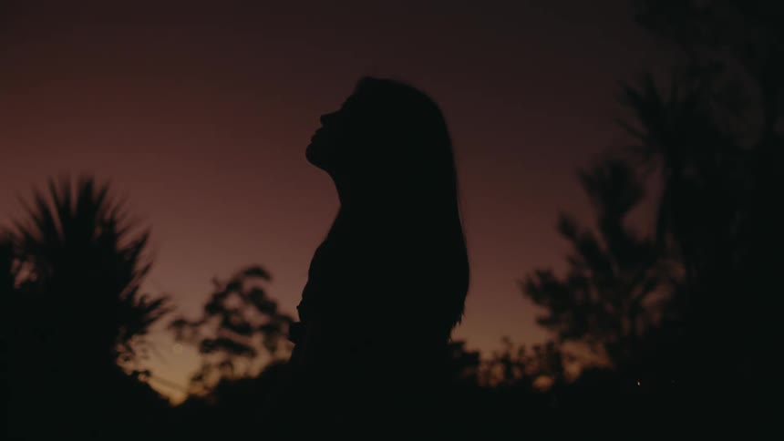 Silhouette of a woman standing outdoors is displayed at dusk
